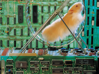 Hamster Power Supply