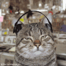 Alternative cat