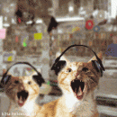 Metal cat
