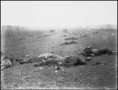 brady federal dead battle gettysburg Mathew Brady