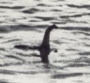 loch ness surgeon photo Ian Wetherell